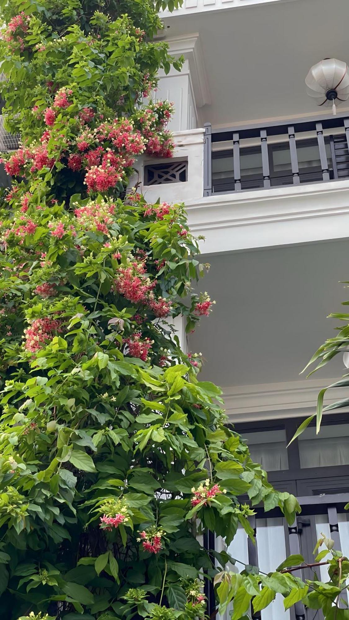 ฮอยอัน ดิสคัฟเวอรี Hotel ภายนอก รูปภาพ